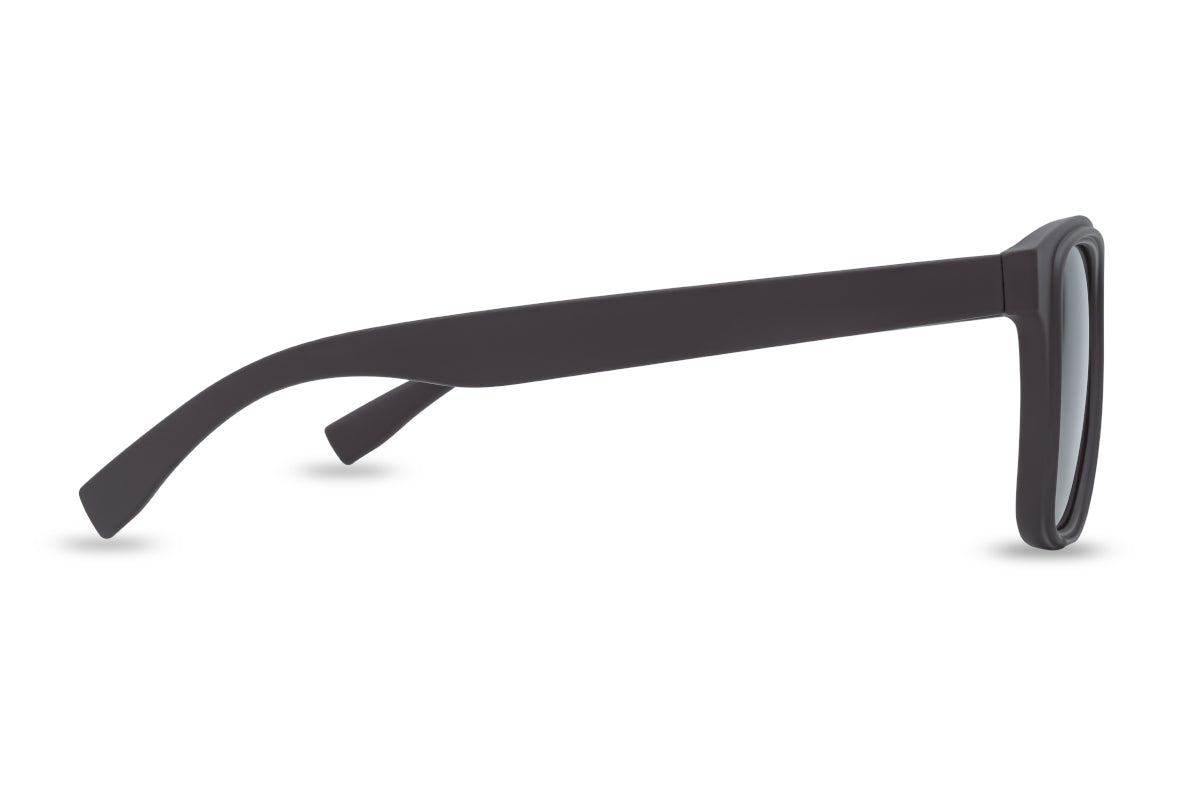 EyeInsist Wayfarer Obsidian Brown