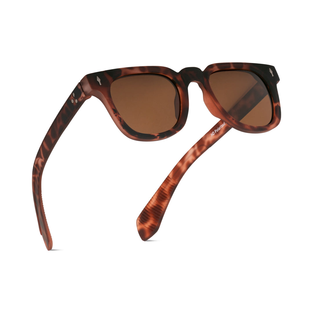 EyeInsist Urbanix Polarized Softened Hexagon Brown Leopard