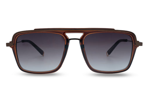 EyeInsist Cool Perspective Brown