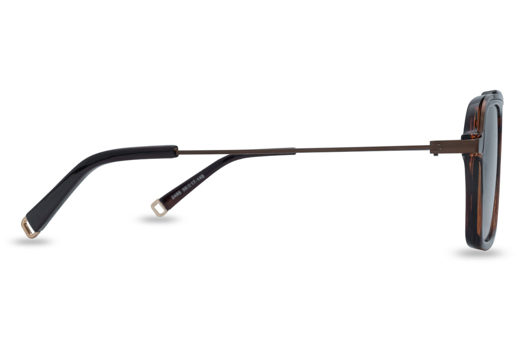 EyeInsist Cool Perspective Brown